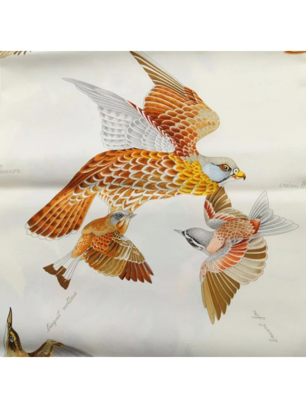 Hermes Scarf L'intrus Silk